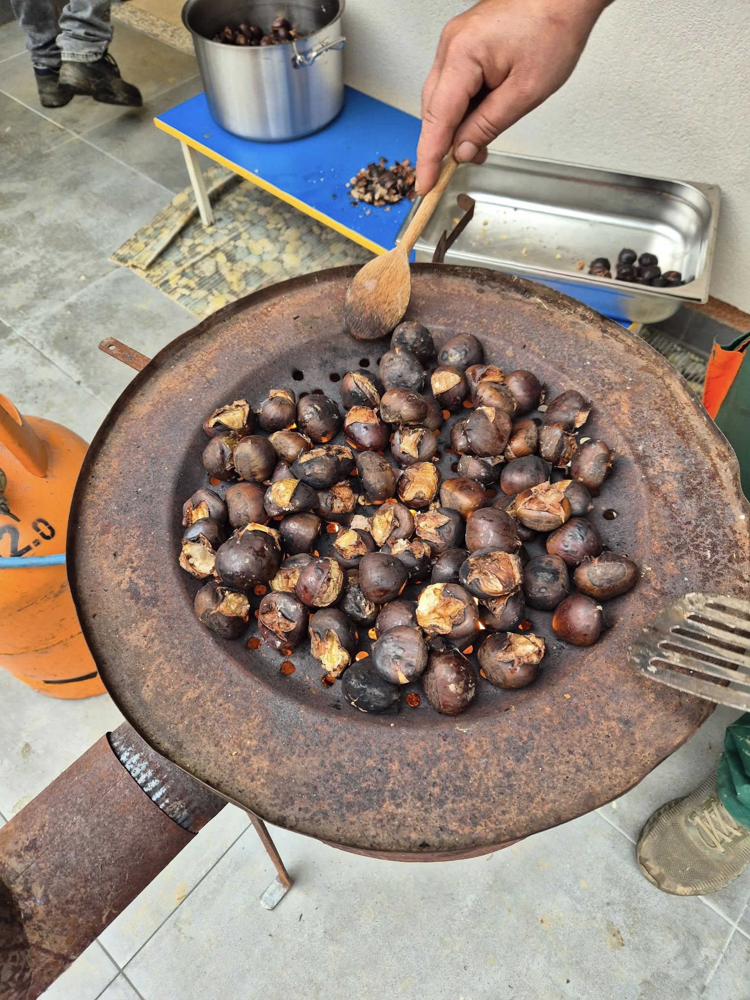 581937250 122097449541123777 8763447652284571652 n