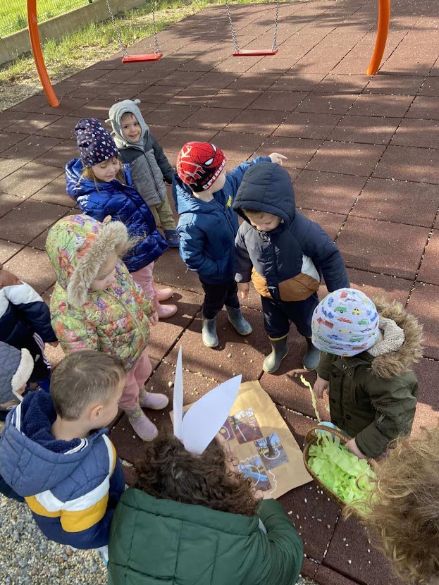 IMG 8aaf9de654a37cbf5de06e1b44232931 V